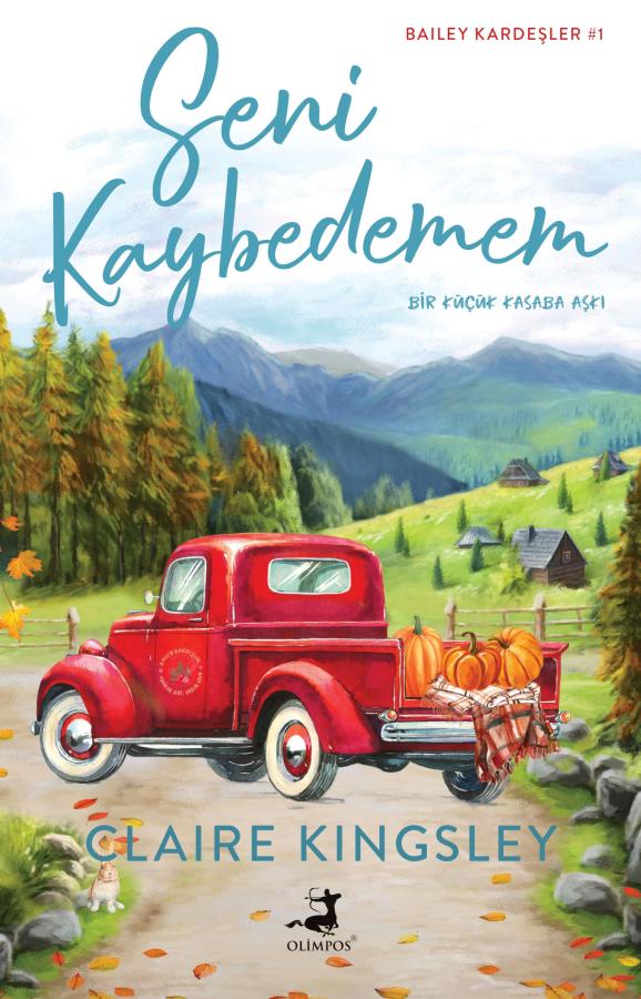 Seni Kaybedemem (Bailey Brothers, #1)