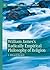 William James's Radically Empirical Philosophy of Religion (Palgrave Perspectives on Process Philosophy)