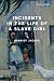 Incidents in the Life of a ...