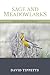 Sage and Meadowlarks: Monta...