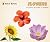 Flowers BOARD BOOK: Colorfu...