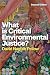 What is Critical Environmental Justice?