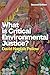 What is Critical Environmental Justice?