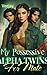 My Possessive Alpha Twins F...
