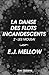 La danse des flots incandescents (Les Mousai #2)