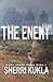 The Enemy (Dry Brook: Christian Mystery & Suspense Romance)