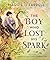 The Boy Who Lost His Spark by Maggie O'Farrell