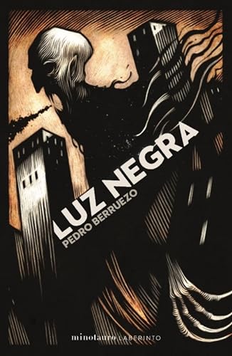 Luz negra (Kindle Edition)