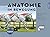 Anatomie in Bewegung: Ganga...