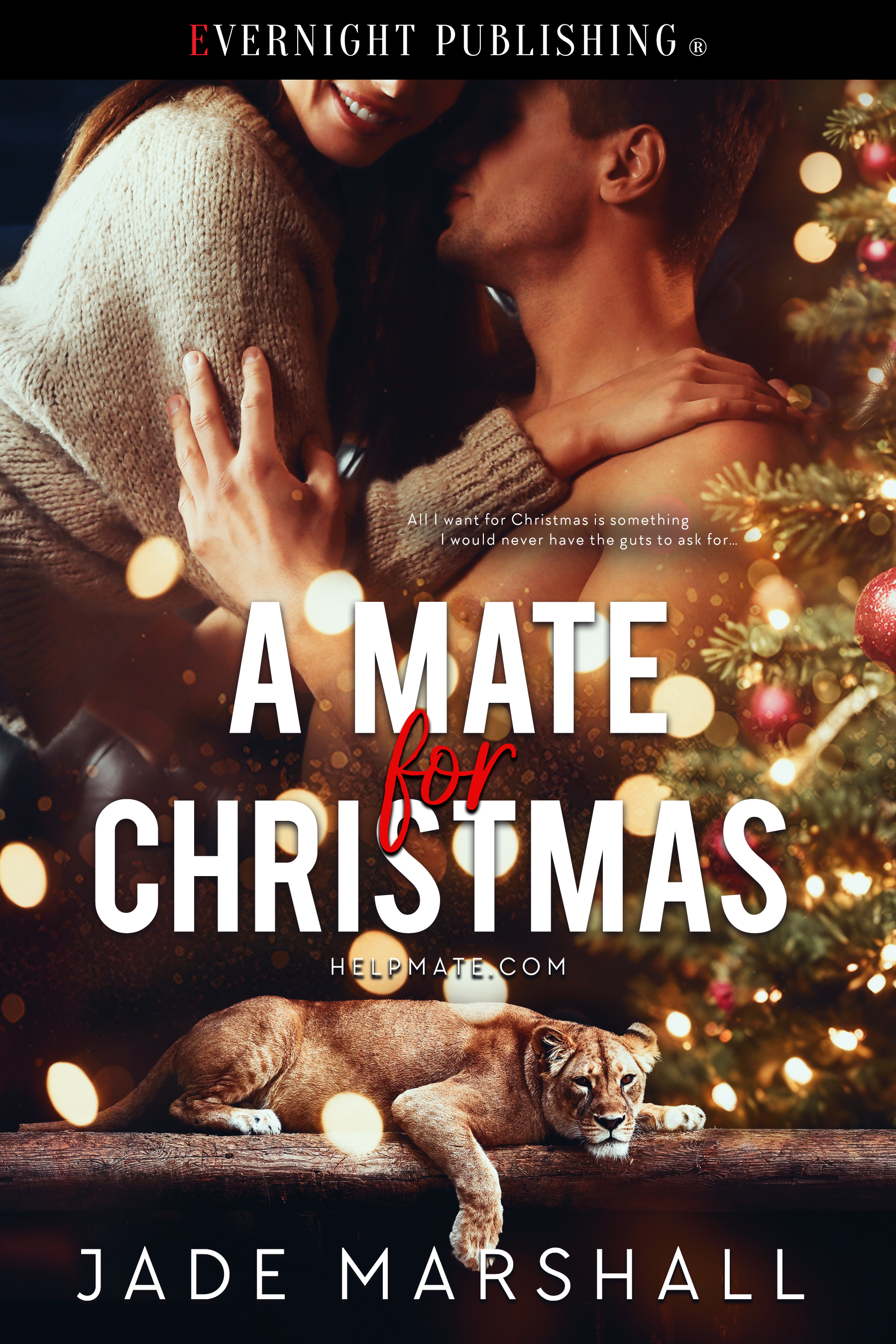 A Mate For Christmas (HelpMate.com, #1)