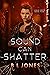 Sound Can Shatter