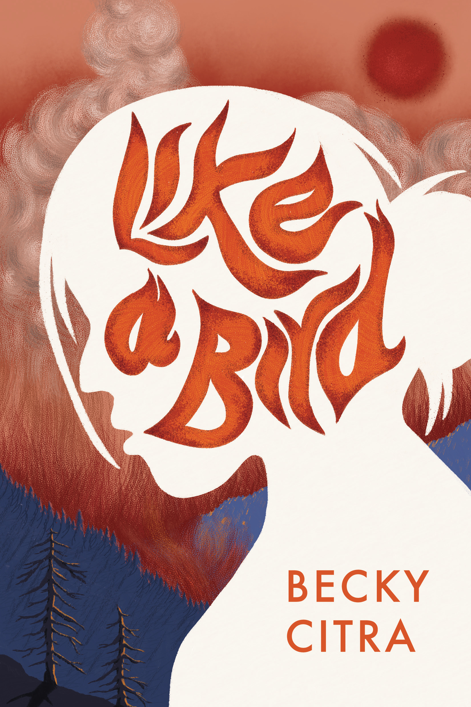 Like a Bird (Paperback)