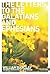 The Letters to the Galatians & Ephesians