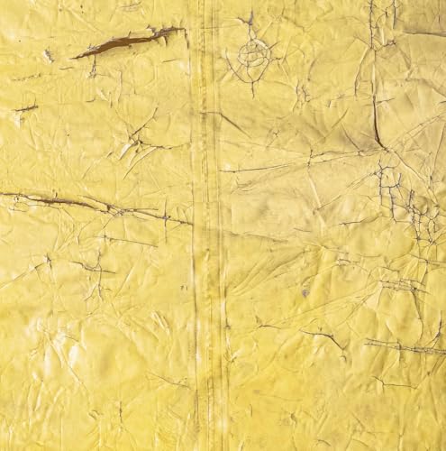 David Hammons (Hardcover)