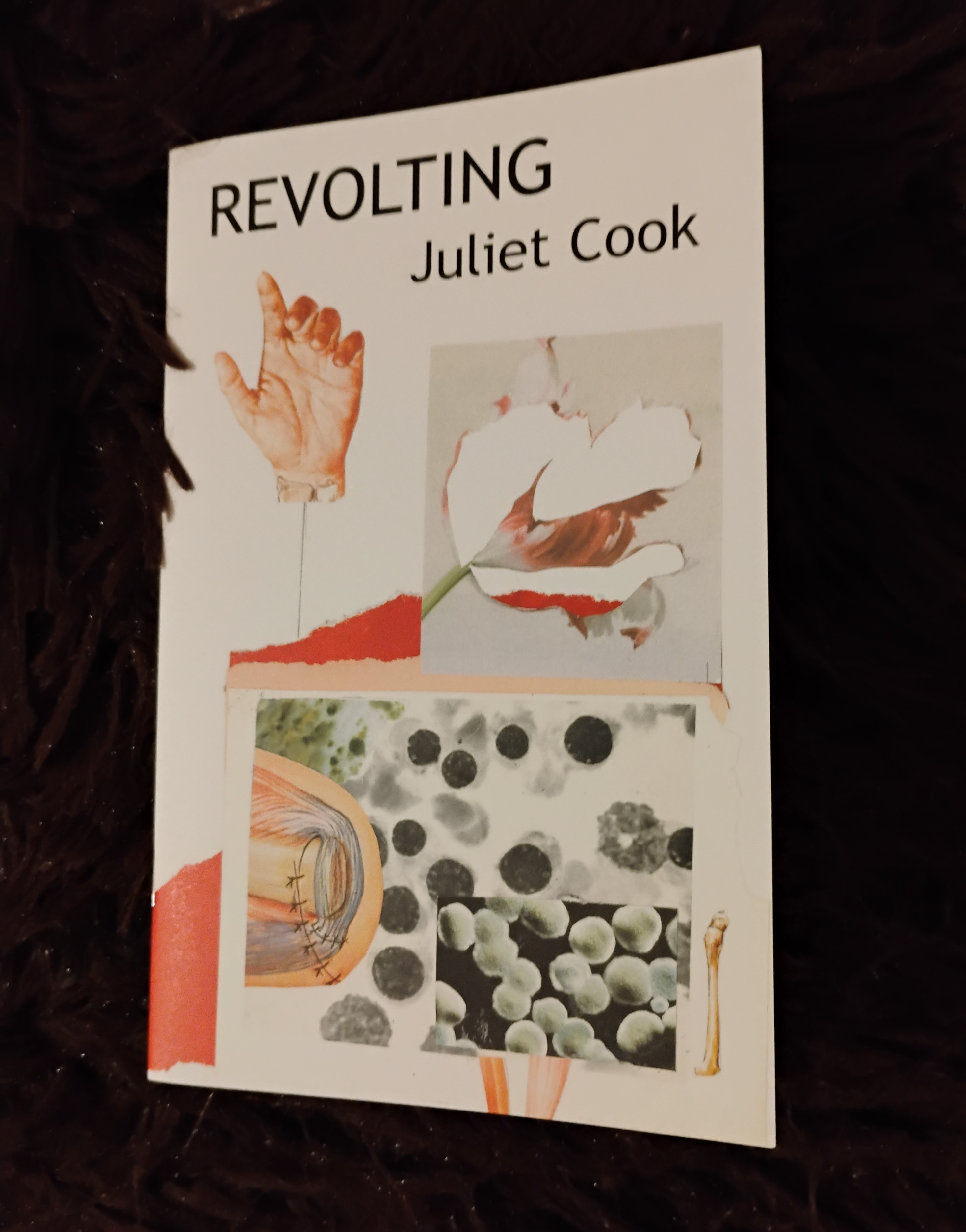 REVOLTING (Paperback)