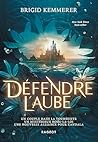 Défendre l'aube by Brigid Kemmerer