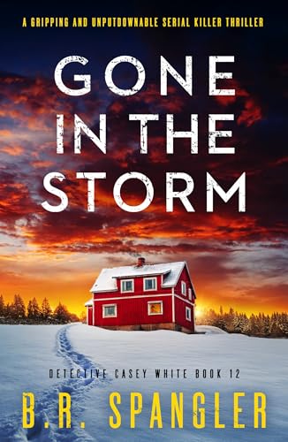 Gone in the Storm (Detective Casey White, #12)