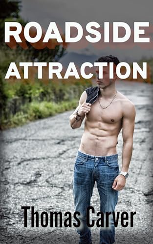 Roadside Attraction (Road Trip Book 1)
