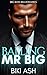 Balling Mr Big by Biki Ash
