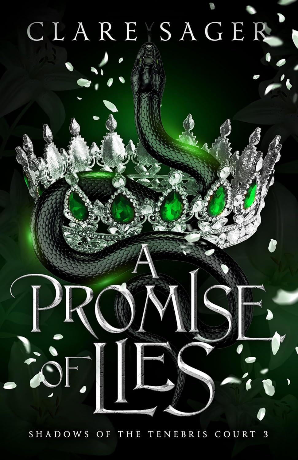 Cover of A Promise of Lies