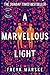 A Marvellous Light (The Last Binding #1)