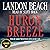 Huron Breeze (Sunrise-Side Mystery, #1)
