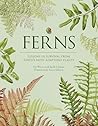 Ferns: Lessons in...