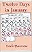 Twelve Days In January by York Darrow