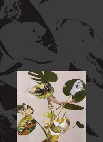 Kandis Williams: A Surface (Paperback)