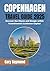 COPENHAGEN TRAVEL GUIDE 202...
