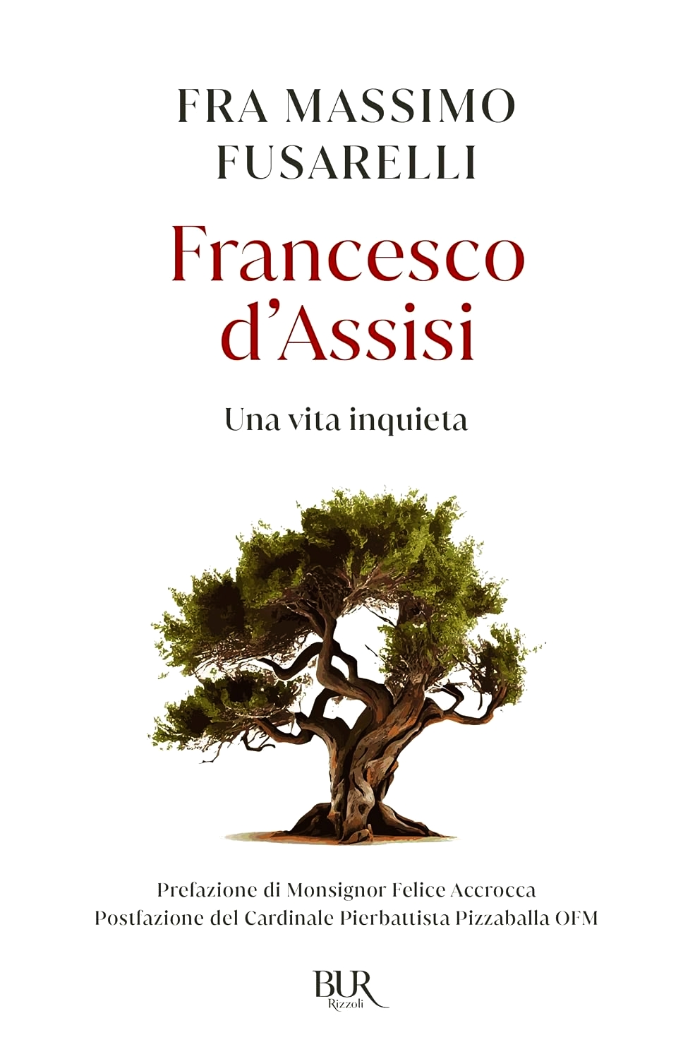 Francesco d'Assisi. Una vita inquieta