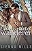 Charming Wanderer (Charming in Blue Ridge Book 3)