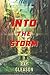 Into the Storm by Ray Gleason