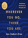 Wherever You Go, There You Are by Jon Kabat-Zinn