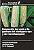 Respuesta del maíz a la gestión del nitrógeno con y sin vermi... by Swapnil Deshmukh