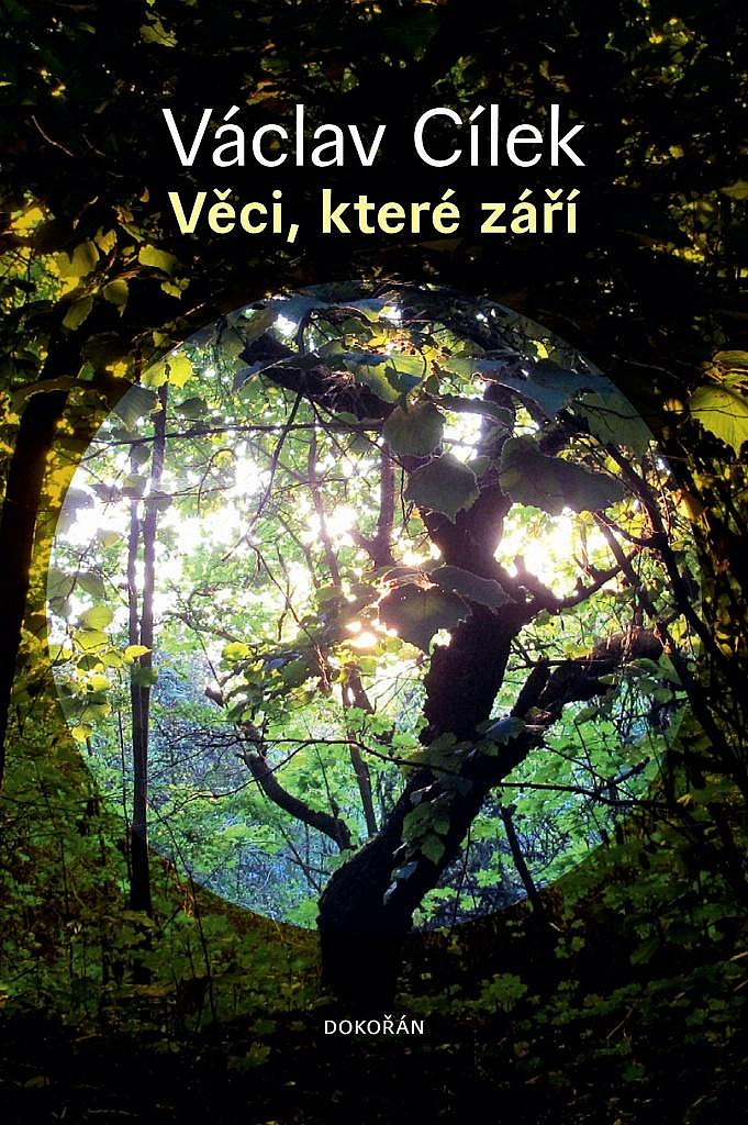 Věci, které září (Hardcover)