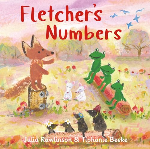 Graffeg Limited Fletchers Numbers. (Hardcover)