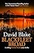 Blackfleet Broad by David Blake