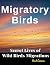 Migratory Birds: Secret Liv...
