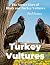 Turkey Vultures: The Secret...
