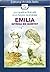 Emilia: Intriga En Quintay