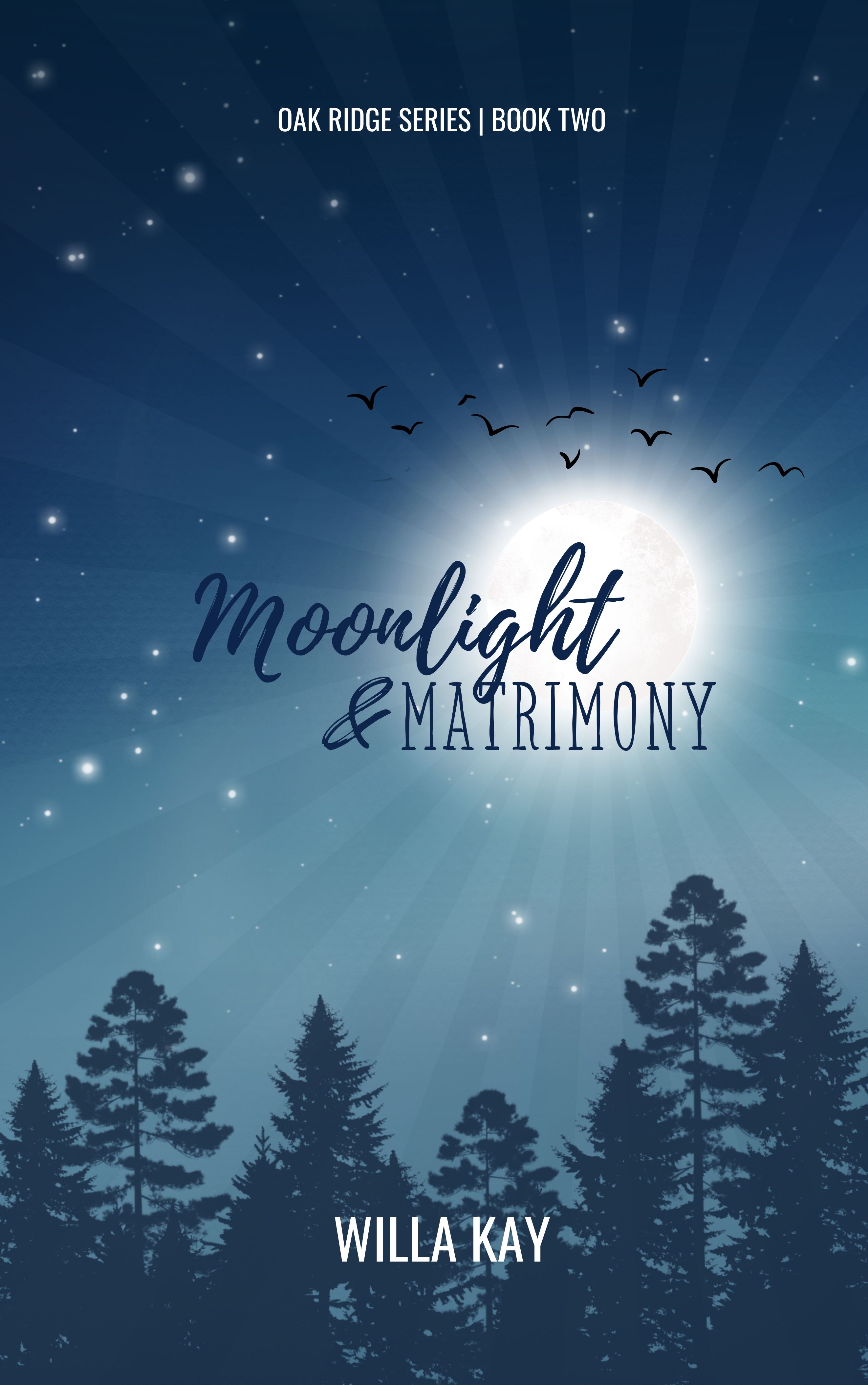 Moonlight & Matrimony: A Small Town Best Friend's Brother Romance (Oak Ridge Book Two)