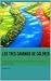 LOS TRES CAMINOS DE COLORES by Meme Girl