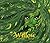 Willow