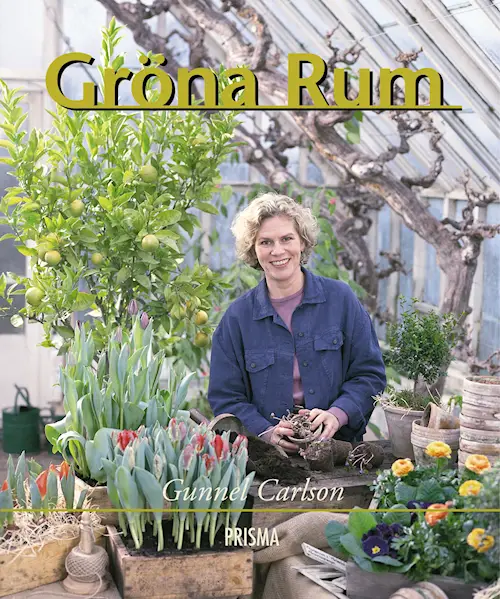 Gröna rum (Hardcover)