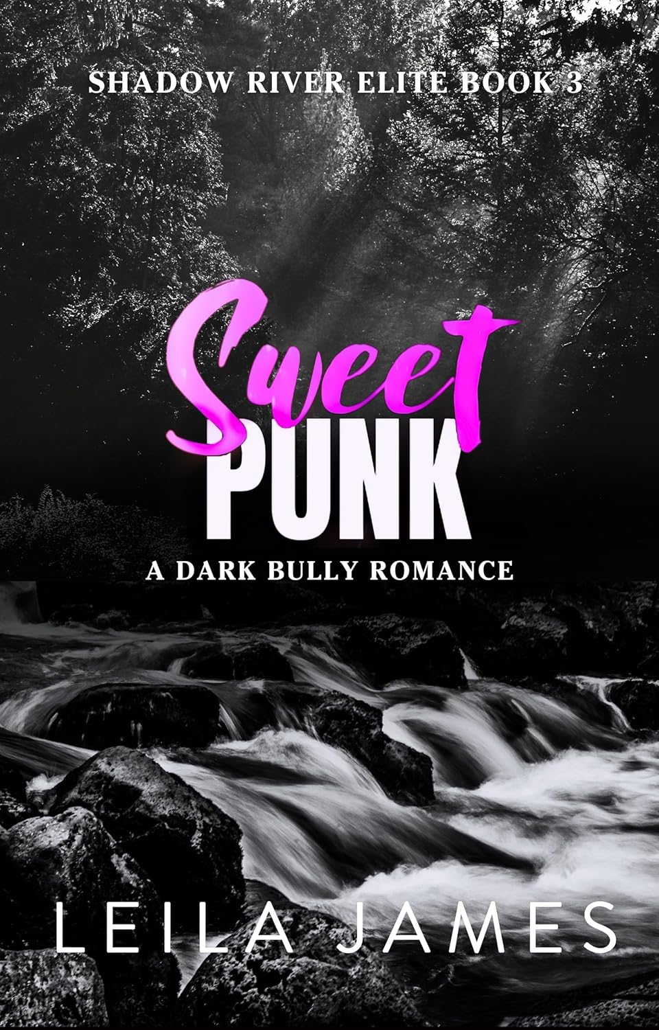 Sweet Punk (Shadow River Elite, #3)