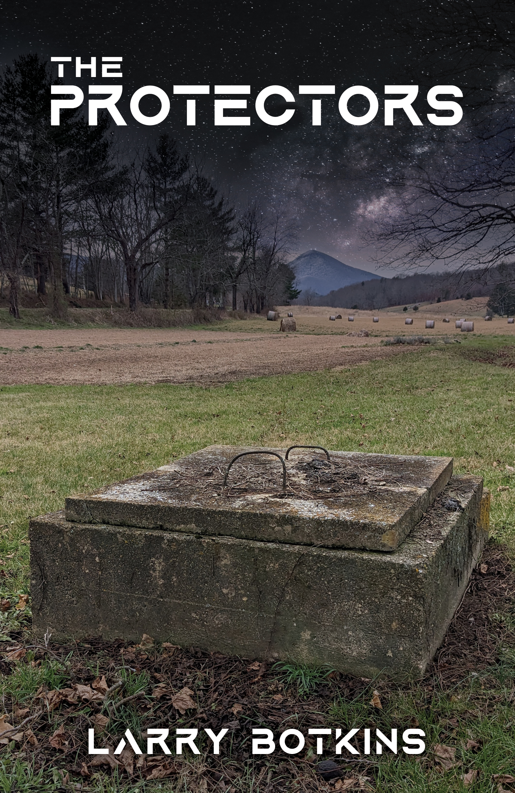 The Protectors (Paperback)