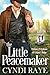 The Little Peacemaker Book #10 (Outlaws & Orphans of Cooper's Ridge)