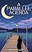 A Parallel Agenda: New Adult Contemporary Fiction