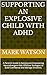Supporting an Explosive Child with ADHD by Mark                      W...